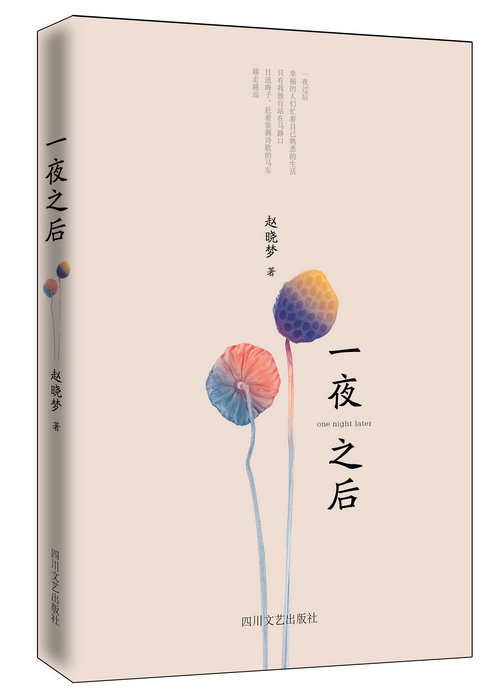 赵晓梦诗集《一夜之后》出版