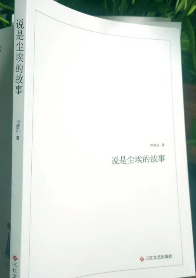 申清迅《说是尘埃的故事》
